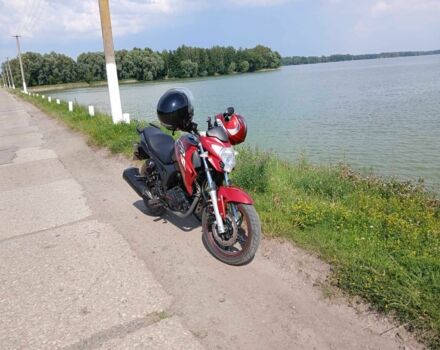 Вайпер Інша, об'ємом двигуна 0.25 л та пробігом 0 тис. км за 993 $, фото 1 на Automoto.ua