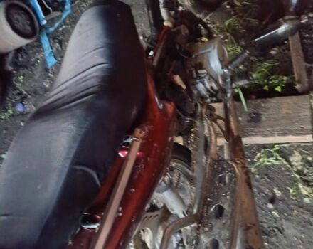 Вайпер Інша, об'ємом двигуна 0.11 л та пробігом 0 тис. км за 109 $, фото 1 на Automoto.ua