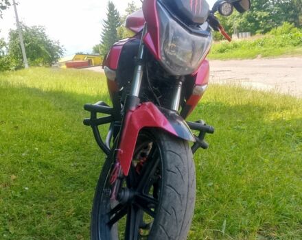 Вайпер Інша, об'ємом двигуна 0.25 л та пробігом 0 тис. км за 921 $, фото 3 на Automoto.ua