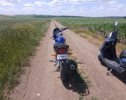 Вайпер Інша, об'ємом двигуна 0.15 л та пробігом 0 тис. км за 630 $, фото 3 на Automoto.ua