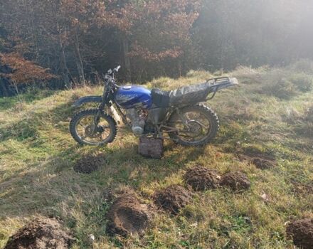 Вайпер Інша, об'ємом двигуна 0.15 л та пробігом 0 тис. км за 400 $, фото 3 на Automoto.ua