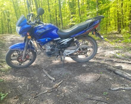 Вайпер Інша, об'ємом двигуна 0.15 л та пробігом 0 тис. км за 606 $, фото 3 на Automoto.ua