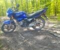 Вайпер Інша, об'ємом двигуна 0.15 л та пробігом 0 тис. км за 606 $, фото 3 на Automoto.ua