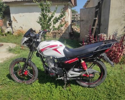 Вайпер Інша, об'ємом двигуна 0.2 л та пробігом 0 тис. км за 667 $, фото 2 на Automoto.ua