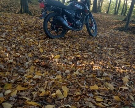 Вайпер Другая, объемом двигателя 0.2 л и пробегом 0 тыс. км за 1000 $, фото 5 на Automoto.ua