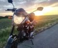 Вайпер Інша, об'ємом двигуна 0.2 л та пробігом 0 тис. км за 921 $, фото 1 на Automoto.ua