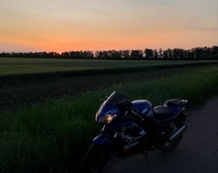Вайпер Інша, об'ємом двигуна 0.25 л та пробігом 0 тис. км за 1332 $, фото 9 на Automoto.ua