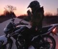 Вайпер Другая, объемом двигателя 0.2 л и пробегом 0 тыс. км за 763 $, фото 2 на Automoto.ua