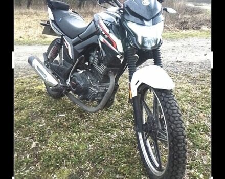 Вайпер Інша, об'ємом двигуна 0.2 л та пробігом 0 тис. км за 756 $, фото 3 на Automoto.ua