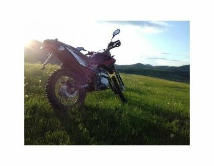 Вайпер Інша, об'ємом двигуна 0.25 л та пробігом 0 тис. км за 606 $, фото 3 на Automoto.ua