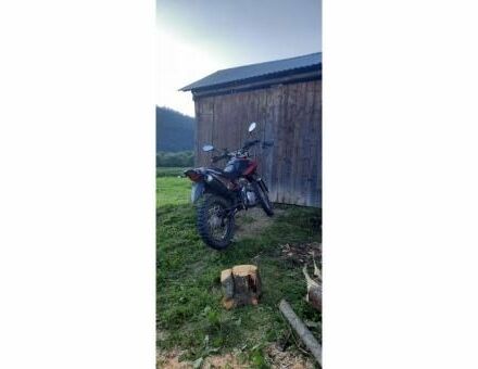 Вайпер Інша, об'ємом двигуна 0.25 л та пробігом 0 тис. км за 606 $, фото 4 на Automoto.ua