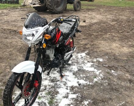 Вайпер Інша, об'ємом двигуна 0.15 л та пробігом 0 тис. км за 710 $, фото 1 на Automoto.ua