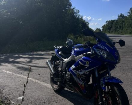 Вайпер Інша, об'ємом двигуна 0.25 л та пробігом 0 тис. км за 1356 $, фото 2 на Automoto.ua