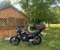 Вайпер Другая, объемом двигателя 0.2 л и пробегом 0 тыс. км за 950 $, фото 3 на Automoto.ua