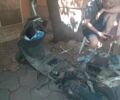 Вайпер Інша, об'ємом двигуна 80 л та пробігом 0 тис. км за 109 $, фото 2 на Automoto.ua