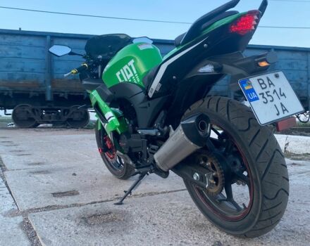 Вайпер Другая, объемом двигателя 0.25 л и пробегом 0 тыс. км за 1544 $, фото 9 на Automoto.ua