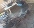 Вайпер Інша, об'ємом двигуна 80 л та пробігом 0 тис. км за 109 $, фото 1 на Automoto.ua