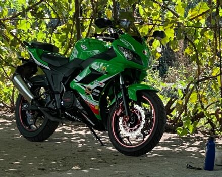 Вайпер Інша, об'ємом двигуна 0.25 л та пробігом 0 тис. км за 1441 $, фото 3 на Automoto.ua