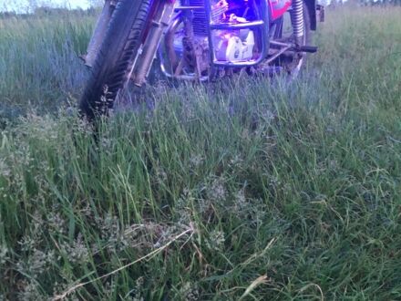 Вайпер Інша 2000 у Рівному на Automoto.ua Вайпер Інша, об'ємом двигуна 0.15 л та пробігом 0 тис. км за 300 $, фото 1 на Automoto.ua