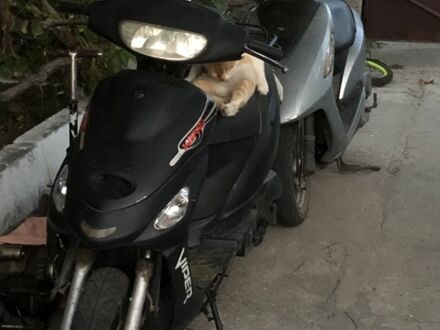 Вайпер Другая 2006 в Кропивницком (Кировограде) на Automoto.ua Вайпер Другая, объемом двигателя 80 л и пробегом 0 тыс. км за 120 $, фото 1 на Automoto.ua