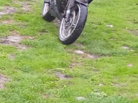 Вайпер Другая, объемом двигателя 0.25 л и пробегом 0 тыс. км за 650 $, фото 1 на Automoto.ua