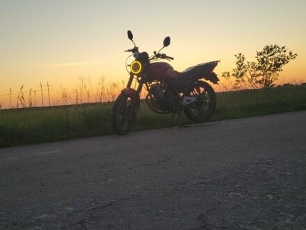 Вайпер Інша, об'ємом двигуна 0.15 л та пробігом 0 тис. км за 476 $, фото 1 на Automoto.ua