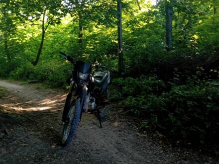 Вайпер Інша 2013 у Вижнице на Automoto.ua Вайпер Інша, об'ємом двигуна 0.2 л та пробігом 0 тис. км за 606 $, фото 1 на Automoto.ua