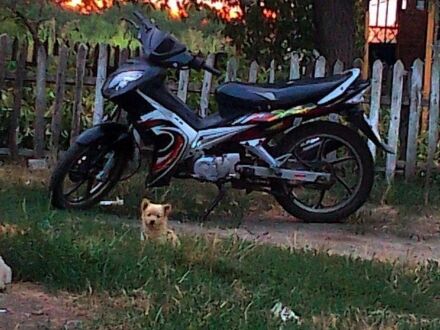 Вайпер Інша, об'ємом двигуна 0.13 л та пробігом 0 тис. км за 284 $, фото 1 на Automoto.ua