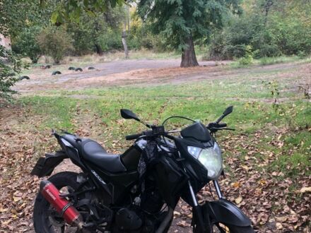 Вайпер Другая, объемом двигателя 0.25 л и пробегом 0 тыс. км за 948 $, фото 1 на Automoto.ua