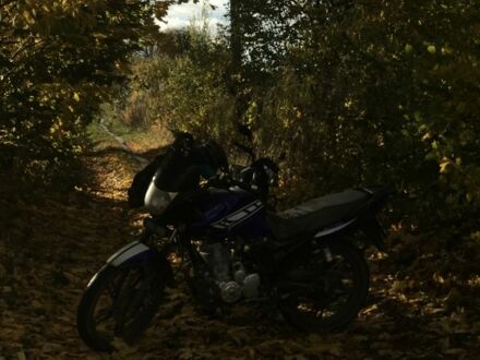 Вайпер Другая 2014 в Дубно на Automoto.ua Вайпер Другая, объемом двигателя 0.15 л и пробегом 0 тыс. км за 730 $, фото 1 на Automoto.ua