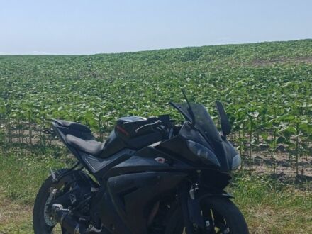 Вайпер Другая 2014 в Бердичеве на Automoto.ua Вайпер Другая, объемом двигателя 0.25 л и пробегом 0 тыс. км за 1090 $, фото 1 на Automoto.ua