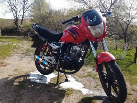 Вайпер Другая 2014 в Владимир-Волынский на Automoto.ua Вайпер Другая, объемом двигателя 0.15 л и пробегом 0 тыс. км за 428 $, фото 1 на Automoto.ua