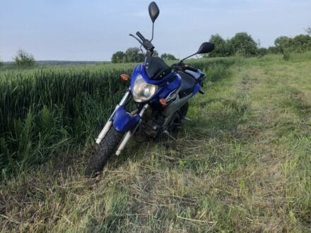 Вайпер Інша 2014 у Червонограде на Automoto.ua Вайпер Інша, об'ємом двигуна 0.2 л та пробігом 0 тис. км за 751 $, фото 1 на Automoto.ua