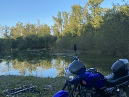 Вайпер Інша, об'ємом двигуна 0.15 л та пробігом 0 тис. км за 849 $, фото 1 на Automoto.ua