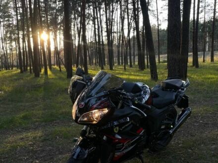 Вайпер Другая, объемом двигателя 0.25 л и пробегом 0 тыс. км за 1100 $, фото 1 на Automoto.ua