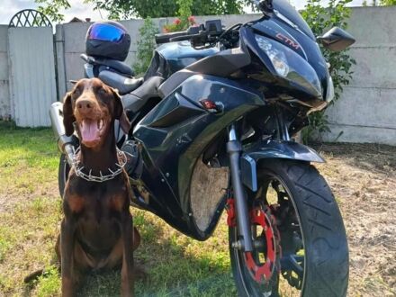 Вайпер Інша, об'ємом двигуна 0.25 л та пробігом 0 тис. км за 971 $, фото 1 на Automoto.ua