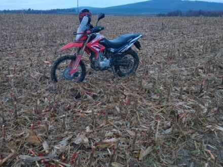 Вайпер Другая, объемом двигателя 0.25 л и пробегом 0 тыс. км за 1500 $, фото 1 на Automoto.ua