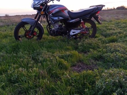 Вайпер Другая 2024 в Кривом Роге на Automoto.ua Вайпер Другая, объемом двигателя 0.2 л и пробегом 0 тыс. км за 1070 $, фото 1 на Automoto.ua