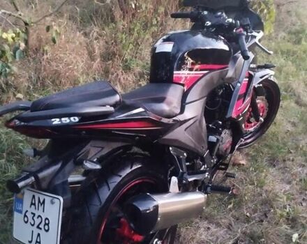 Вайпер F2 250, объемом двигателя 0.25 л и пробегом 1 тыс. км за 1200 $, фото 8 на Automoto.ua
