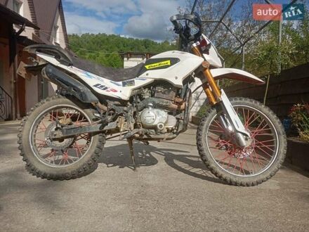 Вайпер MX 200R 2017 у Тячеве на Automoto.ua Білий Вайпер MX 200R, об'ємом двигуна 0.2 л та пробігом 1 тис. км за 950 $, фото 1 на Automoto.ua