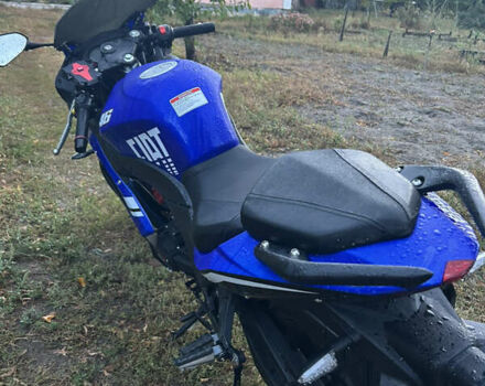 Синий Вайпер V250-F2, объемом двигателя 0.22 л и пробегом 5 тыс. км за 1400 $, фото 2 на Automoto.ua