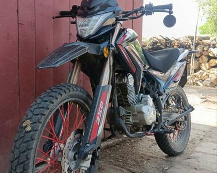 Вайпер V 250l, объемом двигателя 0 л и пробегом 15 тыс. км за 868 $, фото 2 на Automoto.ua