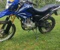 Вайпер V 250l, об'ємом двигуна 0 л та пробігом 4 тис. км за 900 $, фото 1 на Automoto.ua