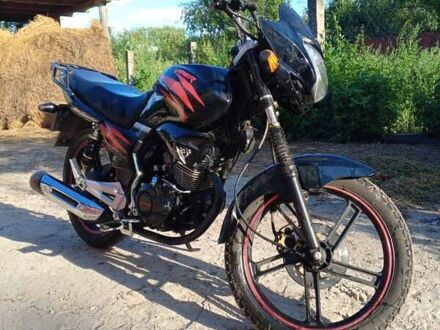 Вайпер ZJ 150-2R 2017 в Носовке на Automoto.ua Черный Вайпер ZJ 150-2R, объемом двигателя 0.15 л и пробегом 6 тыс. км за 700 $, фото 1 на Automoto.ua