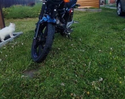 Вайпер ZJ 150-2R, об'ємом двигуна 0.15 л та пробігом 0 тис. км за 750 $, фото 3 на Automoto.ua