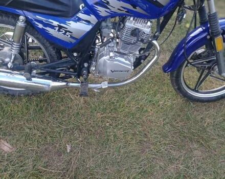 Синий Вайпер ZS 125A, объемом двигателя 0 л и пробегом 14 тыс. км за 620 $, фото 3 на Automoto.ua