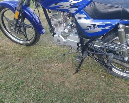 Синий Вайпер ZS 125A, объемом двигателя 0 л и пробегом 14 тыс. км за 620 $, фото 5 на Automoto.ua