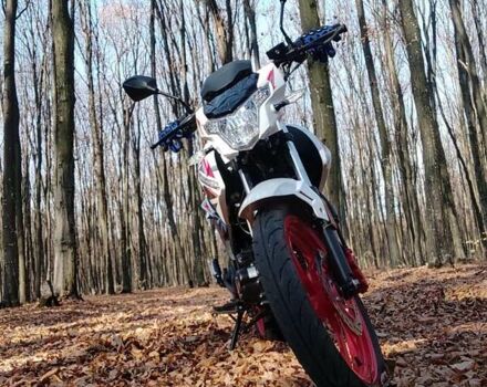 Белый Вайпер ZS 200-3, объемом двигателя 0.2 л и пробегом 3 тыс. км за 1100 $, фото 1 на Automoto.ua