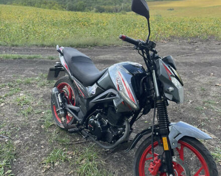 Сірий Вайпер ZS 200A-3, об'ємом двигуна 0 л та пробігом 10 тис. км за 999 $, фото 3 на Automoto.ua