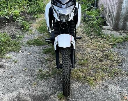 Белый Вайпер ZS 200A, объемом двигателя 0.2 л и пробегом 2 тыс. км за 850 $, фото 2 на Automoto.ua